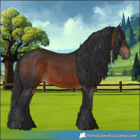 Horse Color:Brown 