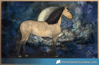 Horse Color:Buckskin Dun 