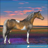 Horse Color:Silver Buckskin Tobiano