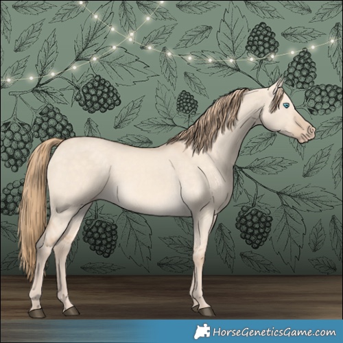 Horse Color:Perlino Dun 