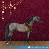 Horse Color:Brown Roan