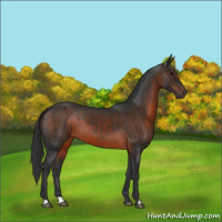 Horse Color:Brown 