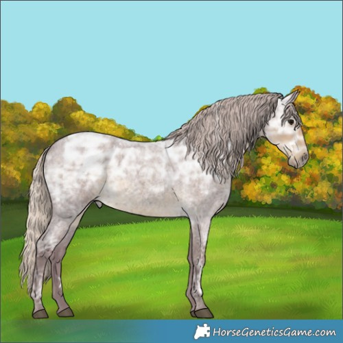 Horse Color:White Spotted Chocolate Silver Smoky Blue Ice Roan 