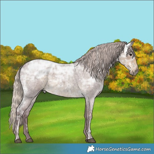 Horse Color:White Spotted Chocolate Silver Smoky Blue Ice Roan 