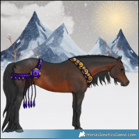Horse Color:Brown 