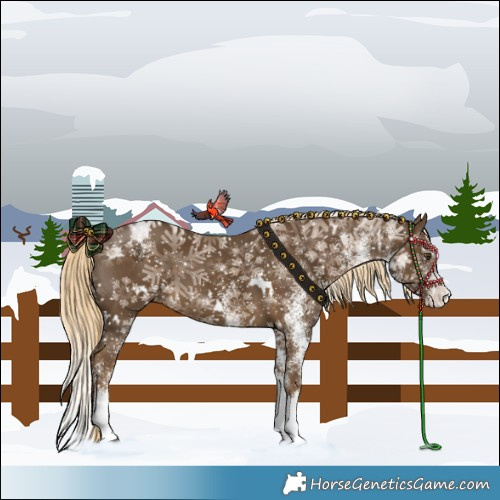 Horse Color:White Spotted Chocolate Palomino Mushroom Splash 