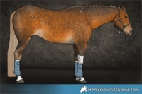 Horse Color:Chocolate Palomino Tobiano 