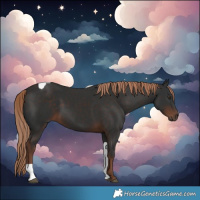 Horse Color:Liver Chestnut Tobiano 