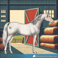Horse Color:Cremello Roan Tobiano 