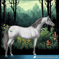 Horse Color:Blue Roan Varnish 
