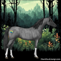 Horse Color:Blue Roan Tobiano