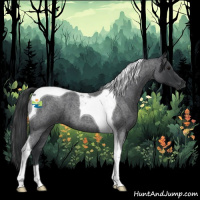 Horse Color:Blue Roan Tobiano 