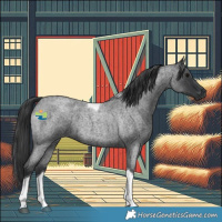 Horse Color:Blue Roan Tobiano 