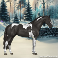 Horse Color:Liver Chestnut Tobiano 