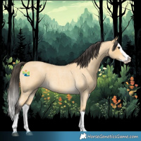 Horse Color:Buckskin Roan Splash 