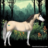 Horse Color:Buckskin Roan Splash 