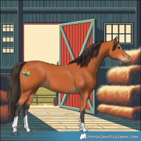 Horse Color:Bay Tobiano 