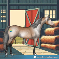 Horse Color:Gray Bay Dun 