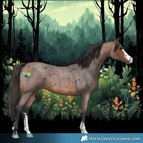Horse Color:Bay Roan 