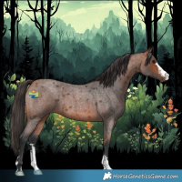 Horse Color:Bay Roan 