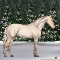 Horse Color:Silver Bay Roan Pearl Dun