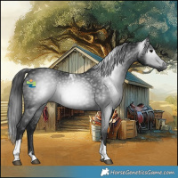 Horse Color:Gray Smoky Black Tobiano 