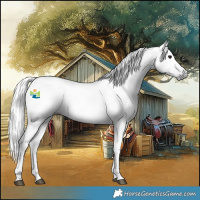 Horse Color:Gray Smoky Black Tobiano 
