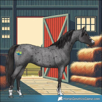 Horse Color:Smoky Blue Roan 