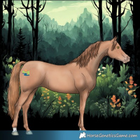 Horse Color:Gold Champagne
