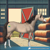Horse Color:Bay Dun 