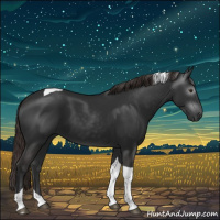 Horse Color:Gray Liver Chestnut Tobiano 