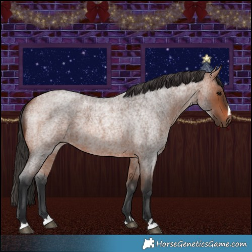 Horse Color:Bay Roan