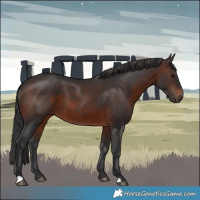 Horse Color:Brown 