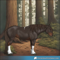 Horse Color:Liver Chestnut Tobiano 