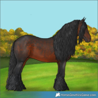 Horse Color:Brown 