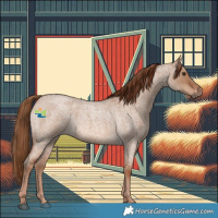 Horse Color:Red Dun Roan 