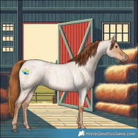 Horse Color:Red Dun Roan 
