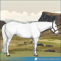 Horse Color:Gray Platinum Liver Chestnut Tobiano