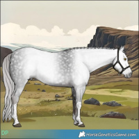 Horse Color:Gray Platinum Liver Chestnut Tobiano