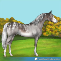 Horse Color:Powder White Platinum Liver Chestnut Mushroom 