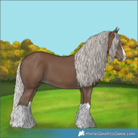 Horse Color:Silver Black Splash