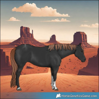 Horse Color:Liver Chestnut Tobiano 