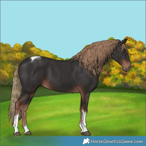 Horse Color:Liver Chestnut Tobiano 