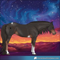 Horse Color:Liver Chestnut Tobiano 