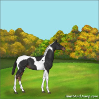 Horse Color:Liver Chestnut Tobiano 