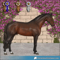 Horse Color:Liver Chestnut 