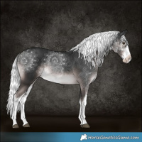 Horse Color:Platinum White Spotted Liver Chestnut Mushroom 