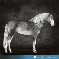 Horse Color:Platinum White Spotted Liver Chestnut Mushroom 