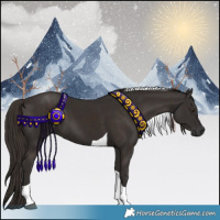 Horse Color:Liver Chestnut Tobiano 