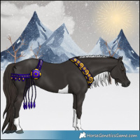 Horse Color:Liver Chestnut Tobiano 